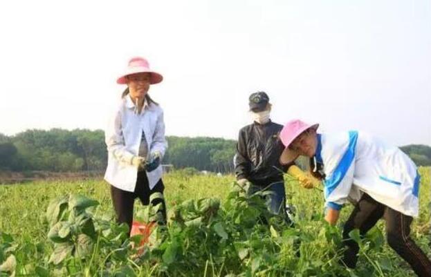 1568277454112399.jpg QQ截图20190912163704.jpg