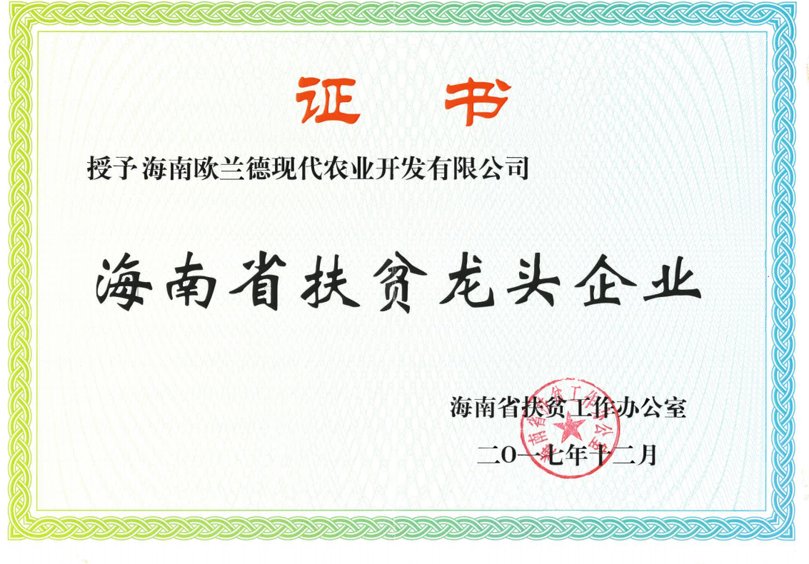 12.png