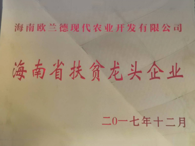 海南省扶贫龙头企业