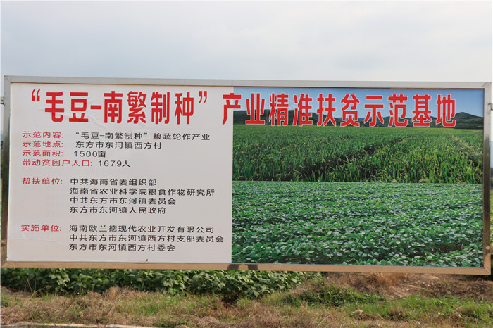 种植基地展示