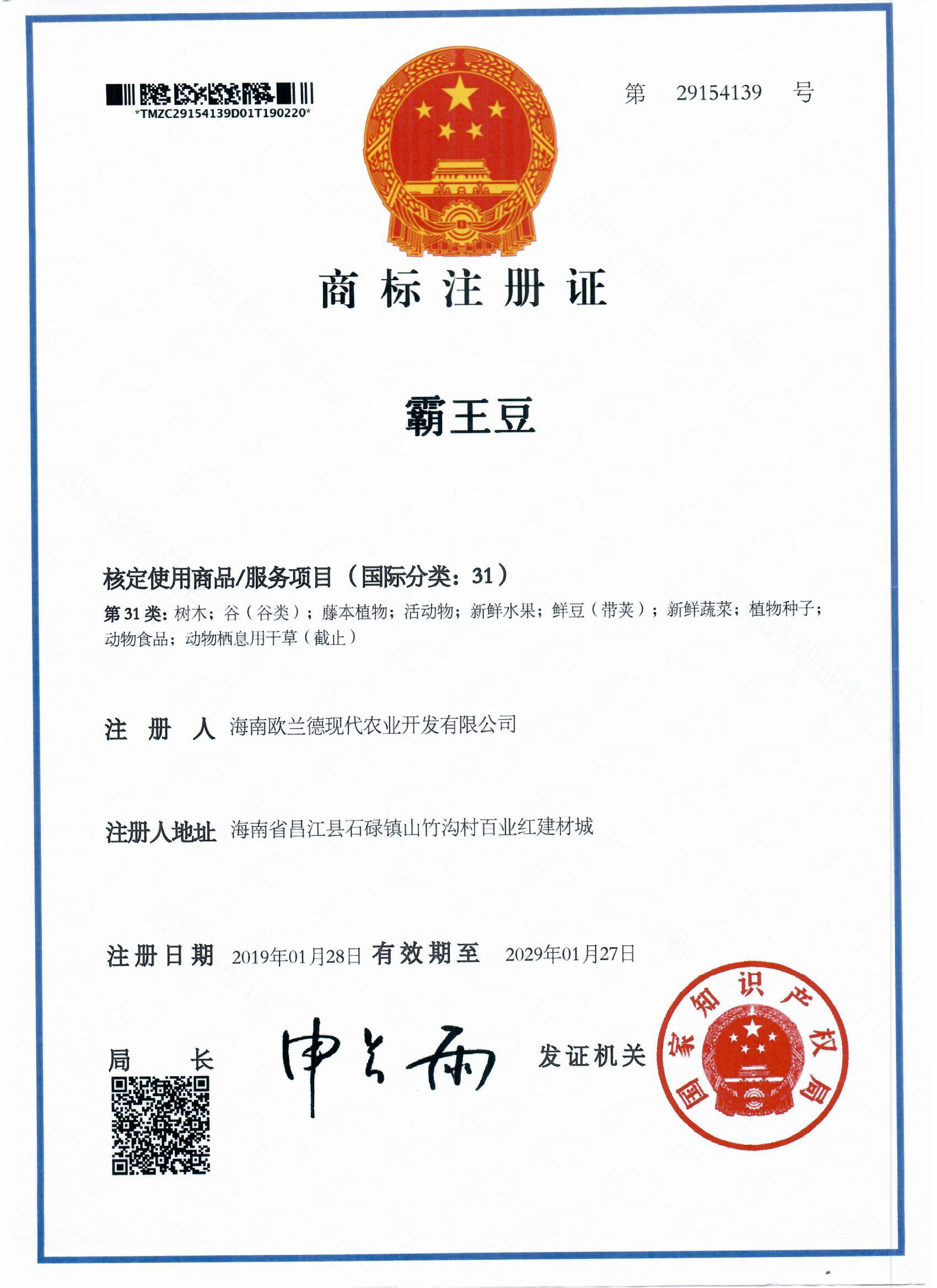 霸王豆