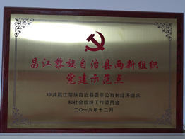 昌江自治县两新组织党建示范点